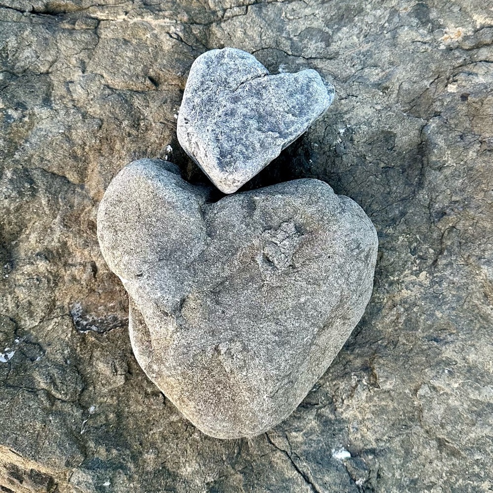 Meet your Posher, ELM